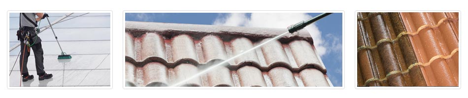 roof cleaning methods