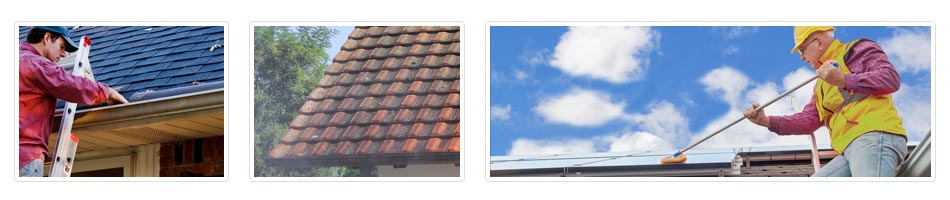 Stoke-by-Nayland roof cleaning costs